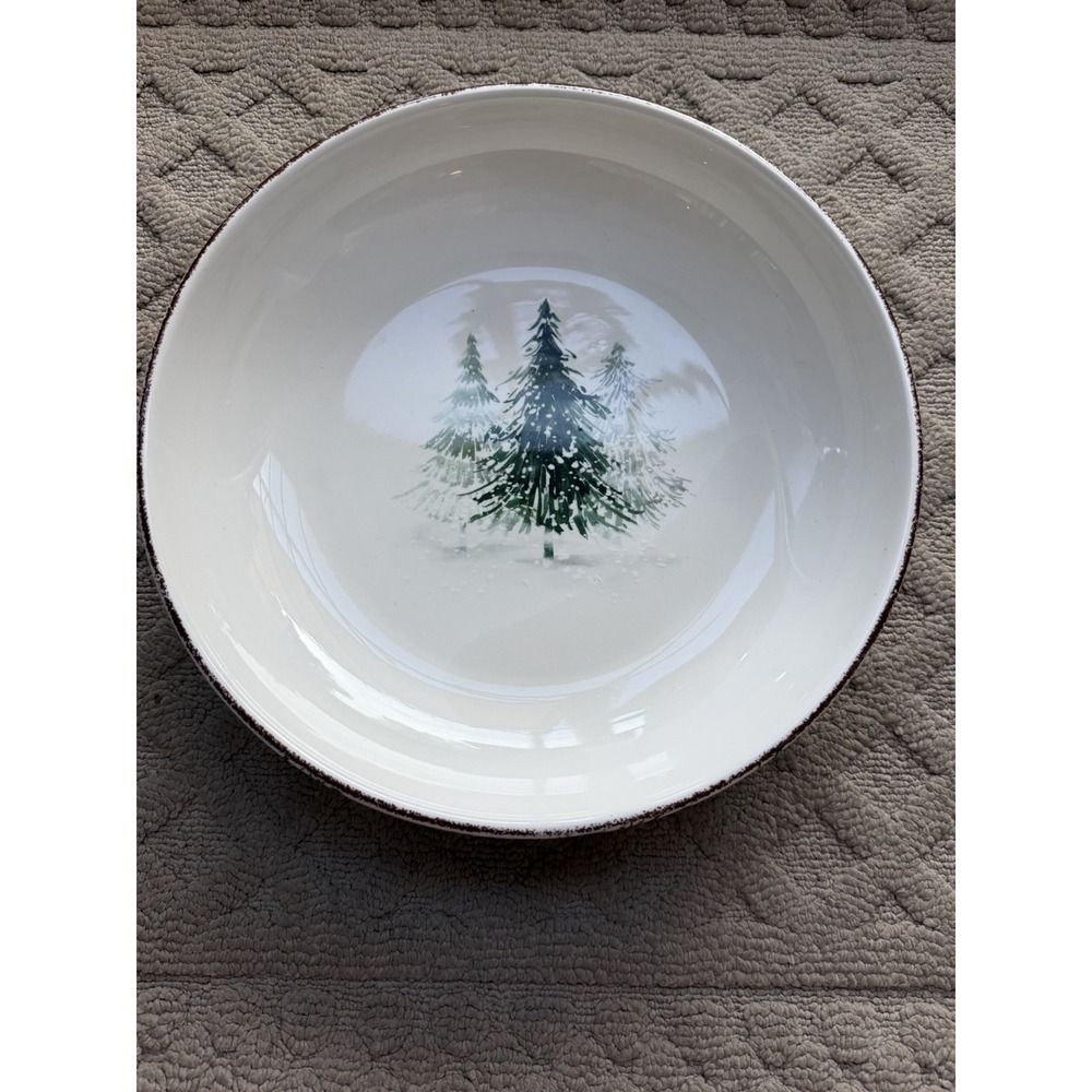 Robert Stanley Home Collection Aspen Cove 12 Inch Serving Bowl 2018